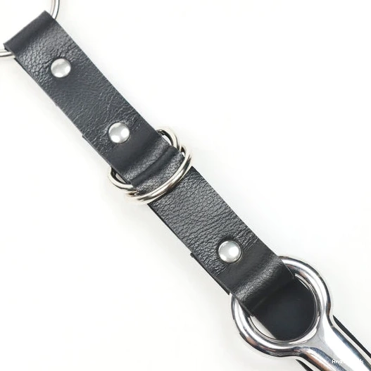 Anal with Collar 5853 EverydayUse Leash and Kinky Hook 0706